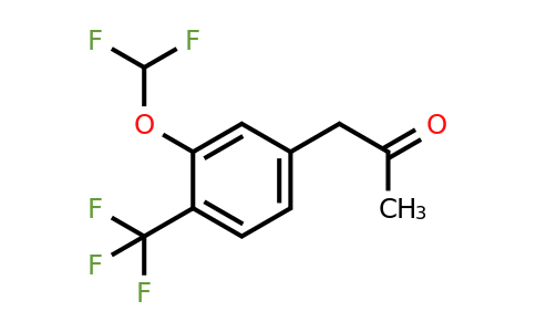 1804088-57-0 | 1-(3-(Difluoromethoxy)-4-(trifluoromethyl)phenyl)propan-2-one