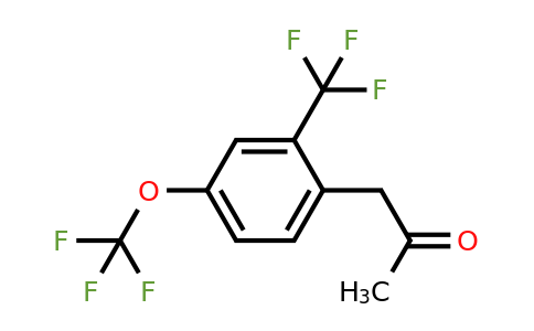 1804140-56-4 | 1-(4-(Trifluoromethoxy)-2-(trifluoromethyl)phenyl)propan-2-one
