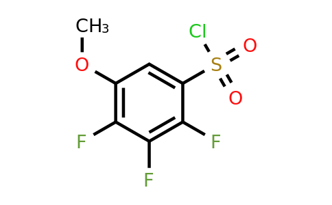 1804141-24-9 | 5-Methoxy-2,3,4-trifluorobenzenesulfonylchloride