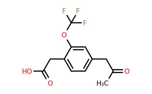 1804141-39-6 | 4-(2-Oxopropyl)-2-(trifluoromethoxy)phenylacetic acid