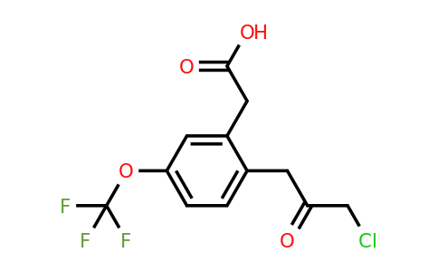 1804141-57-8 | 2-(3-Chloro-2-oxopropyl)-5-(trifluoromethoxy)phenylacetic acid