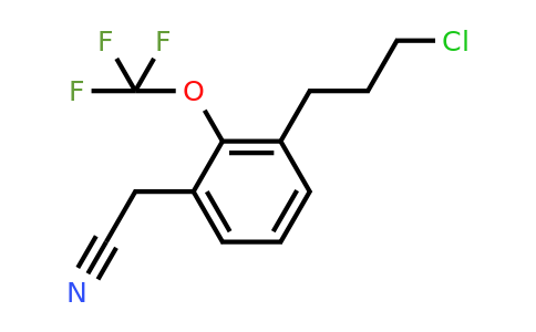 1804141-72-7 | 3-(3-Chloropropyl)-2-(trifluoromethoxy)phenylacetonitrile