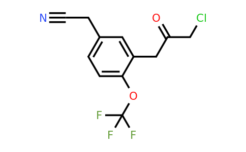 1804141-82-9 | 3-(3-Chloro-2-oxopropyl)-4-(trifluoromethoxy)phenylacetonitrile