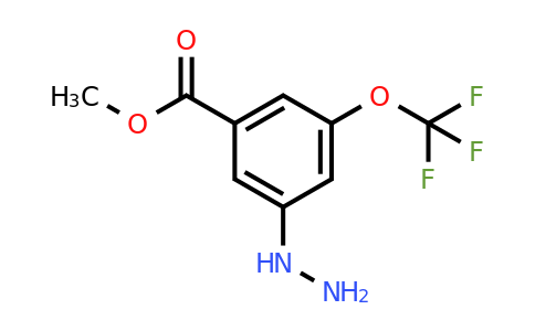 1804141-87-4 | Methyl 3-hydrazinyl-5-(trifluoromethoxy)benzoate