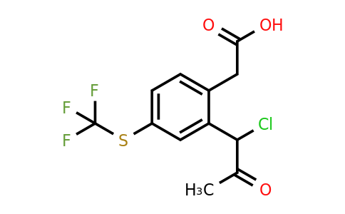 1804143-73-4 | 2-(1-Chloro-2-oxopropyl)-4-(trifluoromethylthio)phenylacetic acid