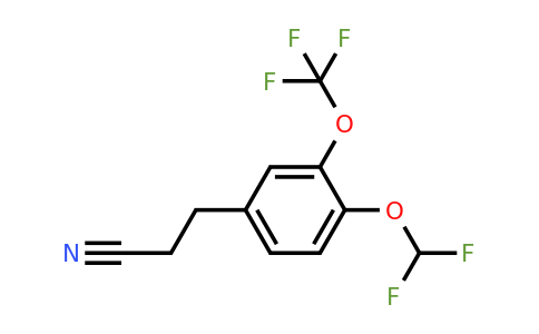 1804147-63-4 | 3-(4-(Difluoromethoxy)-3-(trifluoromethoxy)phenyl)propanenitrile