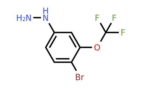 1804148-76-2 | 1-(4-Bromo-3-(trifluoromethoxy)phenyl)hydrazine