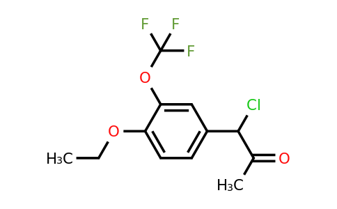 1804157-47-8 | 1-Chloro-1-(4-ethoxy-3-(trifluoromethoxy)phenyl)propan-2-one