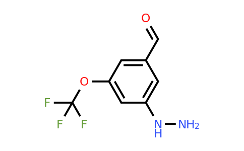 1804160-97-1 | 3-Hydrazinyl-5-(trifluoromethoxy)benzaldehyde
