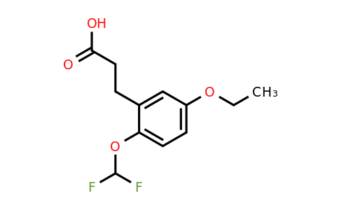 1804177-71-6 | 2-(Difluoromethoxy)-5-ethoxyphenylpropanoic acid