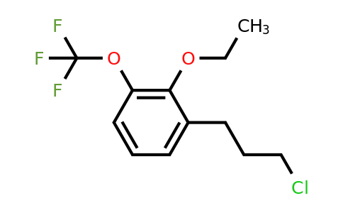 1804179-36-9 | 1-(3-Chloropropyl)-2-ethoxy-3-(trifluoromethoxy)benzene
