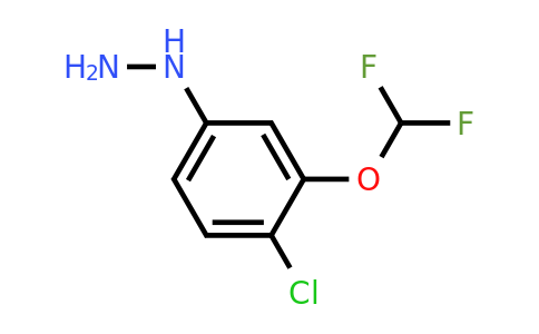 1804182-14-6 | 1-(4-Chloro-3-(difluoromethoxy)phenyl)hydrazine