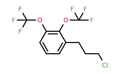 1804199-28-7 | 2,3-Bis(trifluoromethoxy)(3-chloropropyl)benzene