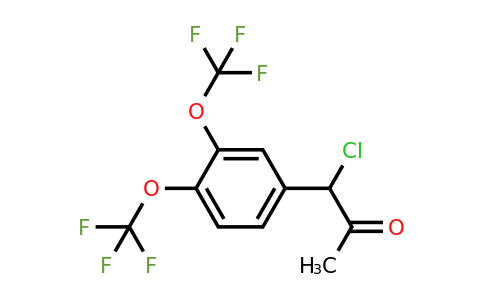 1804199-51-6 | 1-(3,4-Bis(trifluoromethoxy)phenyl)-1-chloropropan-2-one