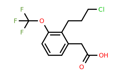 1804218-67-4 | 2-(3-Chloropropyl)-3-(trifluoromethoxy)phenylacetic acid