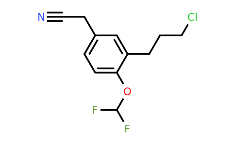 1804228-62-3 | 3-(3-Chloropropyl)-4-(difluoromethoxy)phenylacetonitrile