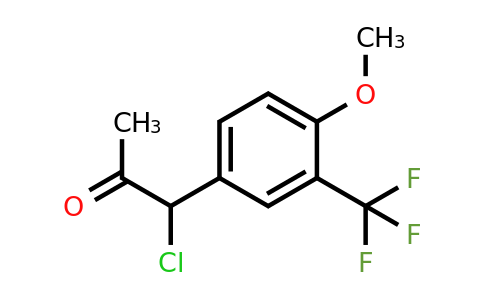1804230-98-5 | 4-(1-Chloro-2-oxopropyl)-2-(trifluoromethyl)anisole