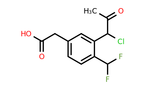 1804242-30-5 | 3-(1-Chloro-2-oxopropyl)-4-(difluoromethyl)phenylacetic acid