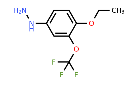 1804242-81-6 | 1-(4-Ethoxy-3-(trifluoromethoxy)phenyl)hydrazine