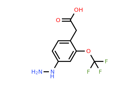 1804244-75-4 | 4-Hydrazinyl-2-(trifluoromethoxy)phenylacetic acid