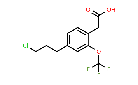 1804245-46-2 | 4-(3-Chloropropyl)-2-(trifluoromethoxy)phenylacetic acid