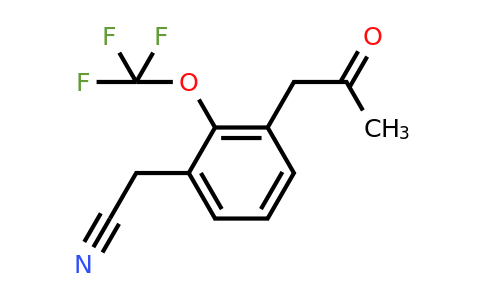 1804247-49-1 | 3-(2-Oxopropyl)-2-(trifluoromethoxy)phenylacetonitrile