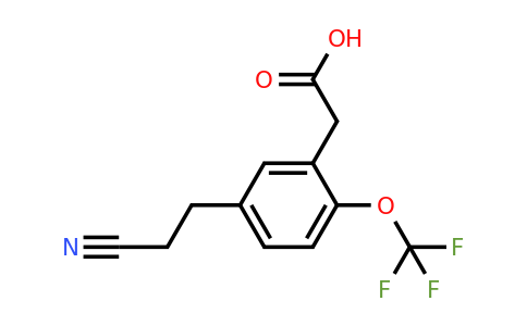 1804251-25-9 | 5-(2-Cyanoethyl)-2-(trifluoromethoxy)phenylacetic acid