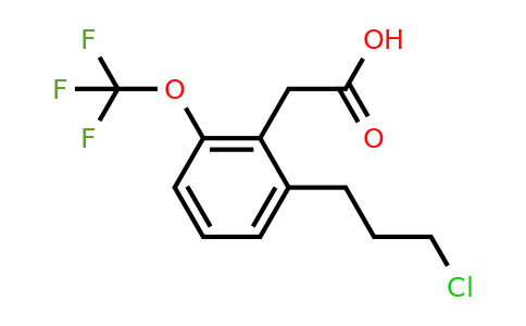 1804251-39-5 | 2-(3-Chloropropyl)-6-(trifluoromethoxy)phenylacetic acid