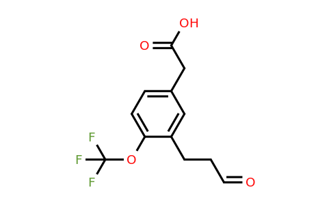 1804251-51-1 | 3-(3-Oxopropyl)-4-(trifluoromethoxy)phenylacetic acid