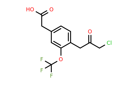 1804251-99-7 | 4-(3-Chloro-2-oxopropyl)-3-(trifluoromethoxy)phenylacetic acid
