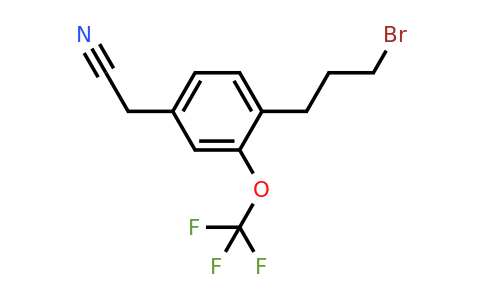 1804252-92-3 | 4-(3-Bromopropyl)-3-(trifluoromethoxy)phenylacetonitrile