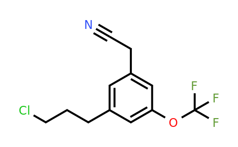 1804252-98-9 | 3-(3-Chloropropyl)-5-(trifluoromethoxy)phenylacetonitrile