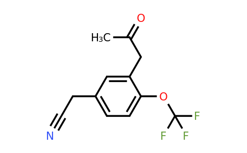 1804253-47-1 | 3-(2-Oxopropyl)-4-(trifluoromethoxy)phenylacetonitrile