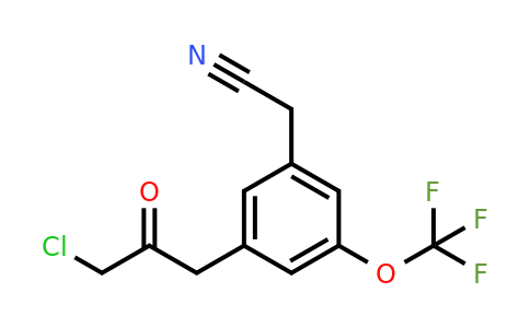 1804253-74-4 | 3-(3-Chloro-2-oxopropyl)-5-(trifluoromethoxy)phenylacetonitrile