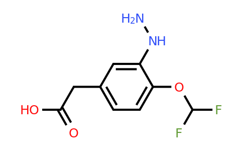 1804280-05-4 | 4-(Difluoromethoxy)-3-hydrazinylphenylacetic acid