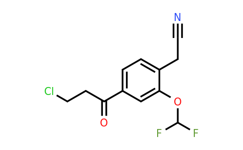 1804280-23-6 | 4-(3-Chloropropanoyl)-2-(difluoromethoxy)phenylacetonitrile