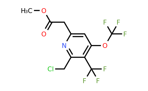 1804365-95-4 | Methyl 2-(chloromethyl)-4-(trifluoromethoxy)-3-(trifluoromethyl)pyridine-6-acetate