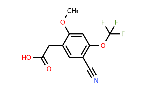 1804418-55-0 | 5-Cyano-2-methoxy-4-(trifluoromethoxy)phenylacetic acid