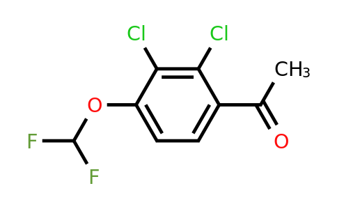 1804421-00-8 | 2',3'-Dichloro-4'-(difluoromethoxy)acetophenone