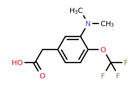 1804430-14-5 | 3-Dimethylamino-4-(trifluoromethoxy)phenylacetic acid