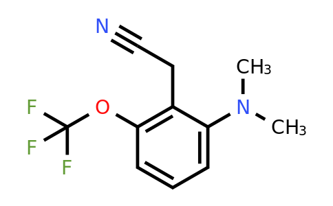 1804430-63-4 | 2-Dimethylamino-6-(trifluoromethoxy)phenylacetonitrile