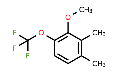 1804432-45-8 | 2,3-Dimethyl-6-(trifluoromethoxy)anisole