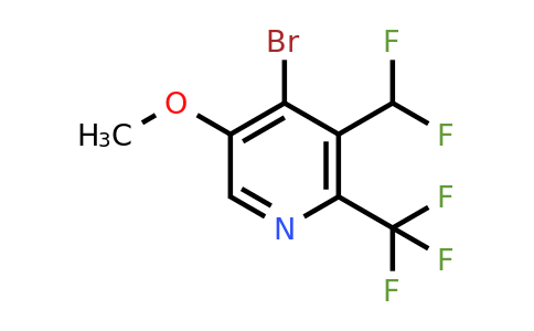 1804464-78-5 | 4-Bromo-3-(difluoromethyl)-5-methoxy-2-(trifluoromethyl)pyridine