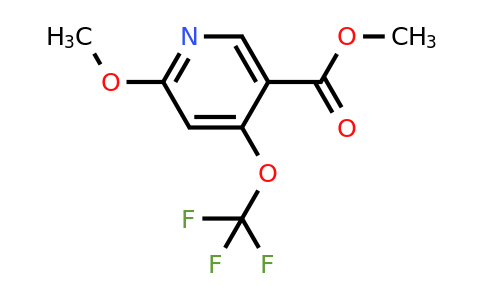 1804506-14-6 | Methyl 2-methoxy-4-(trifluoromethoxy)pyridine-5-carboxylate