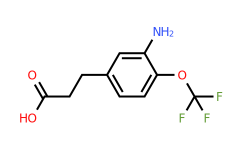 1804507-29-6 | 3-(3-Amino-4-(trifluoromethoxy)phenyl)propanoic acid