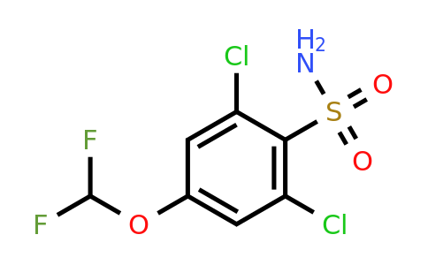 1804516-09-3 | 2,6-Dichloro-4-(difluoromethoxy)benzenesulfonamide