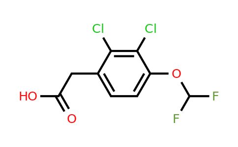 1804517-01-8 | 2,3-Dichloro-4-(difluoromethoxy)phenylacetic acid