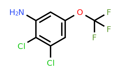 1804517-79-0 | 2,3-Dichloro-5-(trifluoromethoxy)aniline
