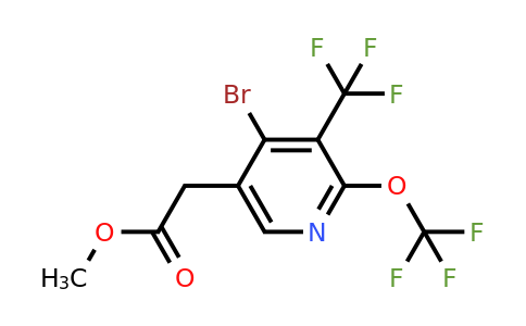 1804545-60-5 | Methyl 4-bromo-2-(trifluoromethoxy)-3-(trifluoromethyl)pyridine-5-acetate