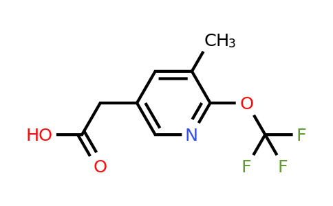 1804547-83-8 | 3-Methyl-2-(trifluoromethoxy)pyridine-5-acetic acid